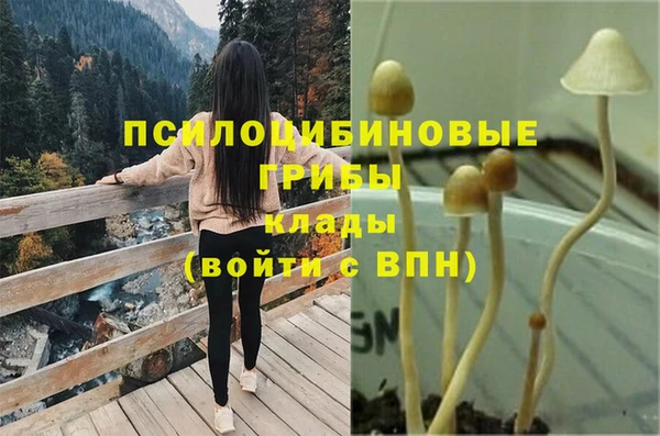 кокаин колумбия Белокуриха