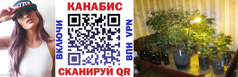 мега как войти  Обь  Конопля сатива  наркошоп 